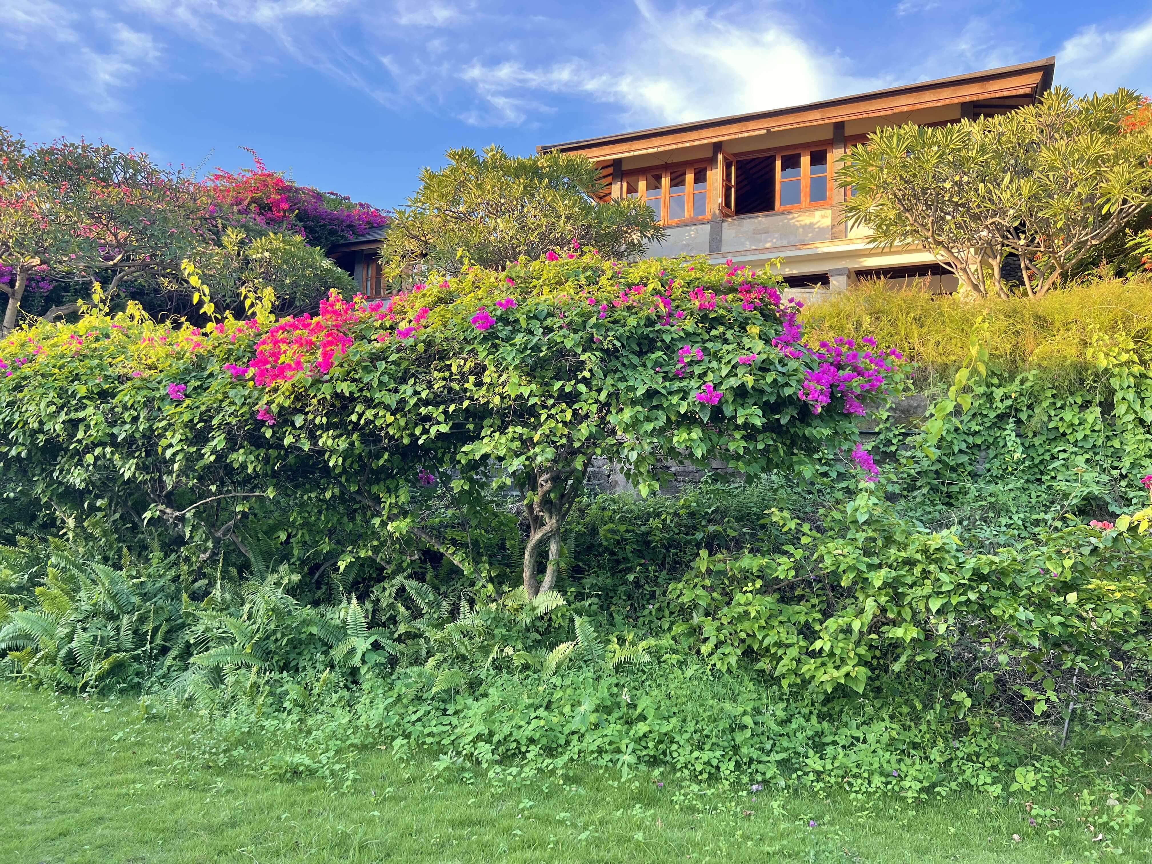 Villa Gajah — photo 7