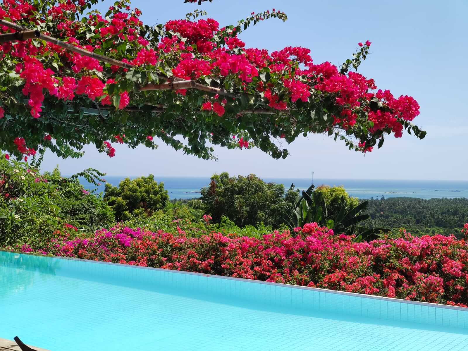 Villa Singa — photo 7