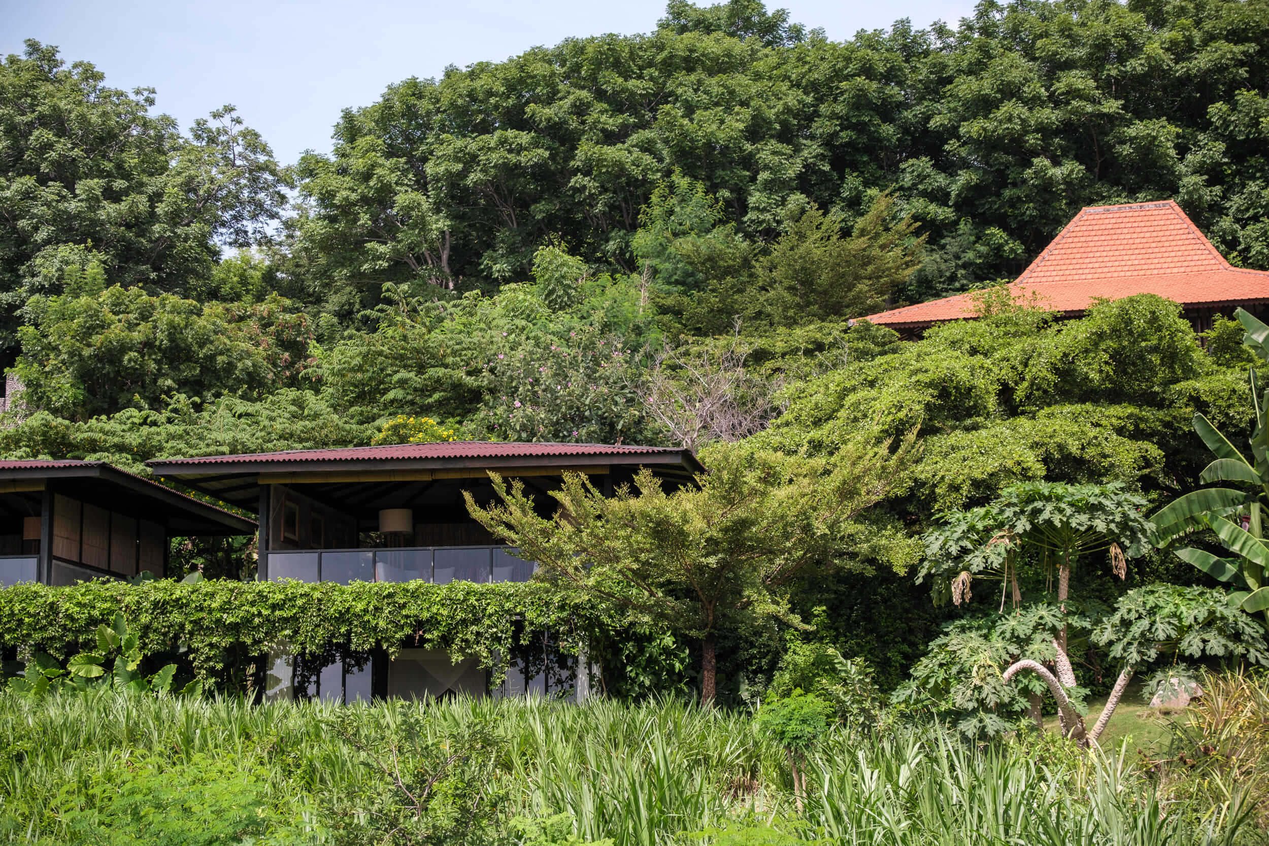 Villa Baja Barat — photo 7