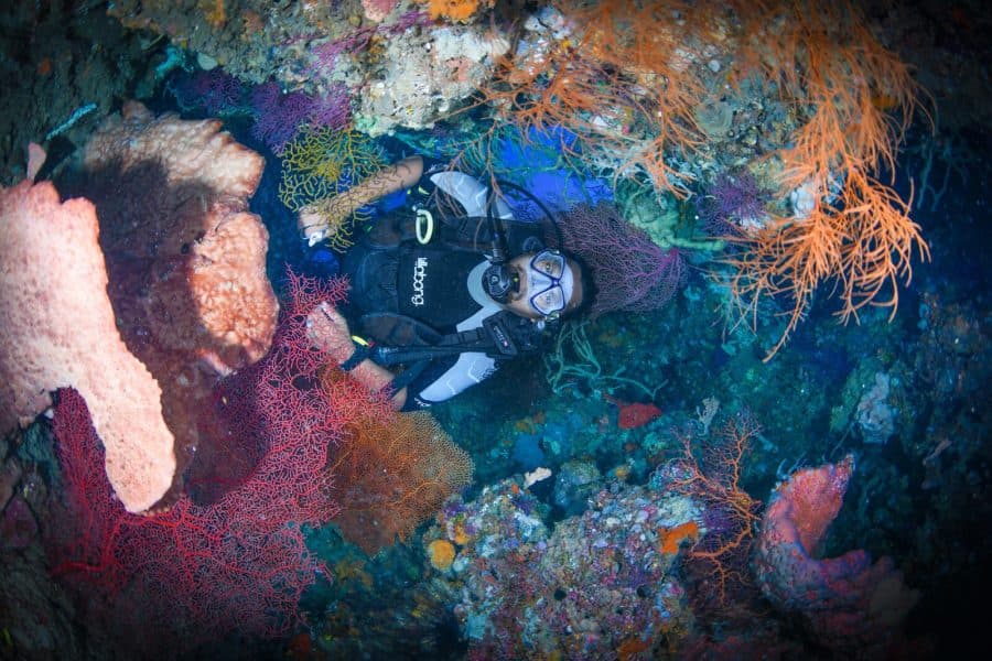 Underwater Art Gallery