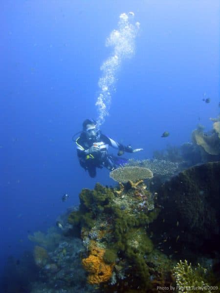 Diving with Sea Rovers