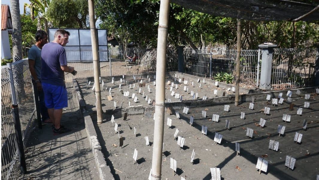 Turtle Conservation Project