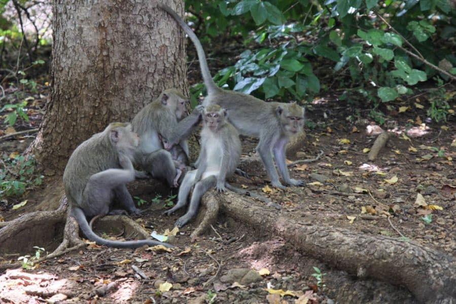 Barat National Park Walk