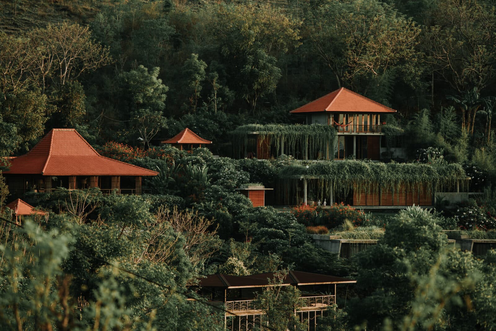 Lush accommodation in Northwest Bali