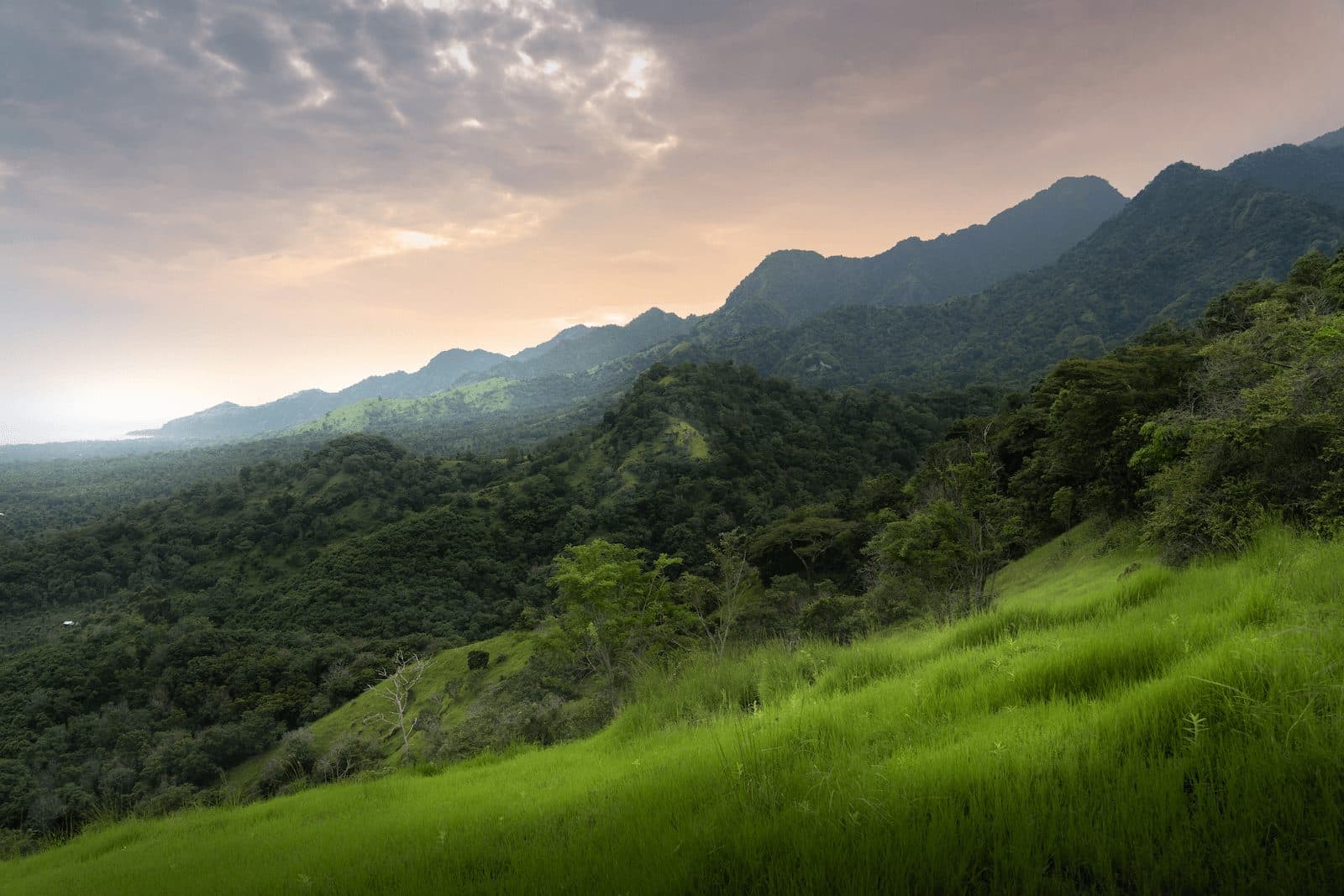 A hilltop view across Northwest Bali with sea and mountain silhouettes