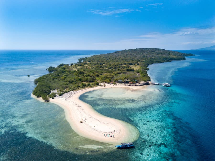 Menjangan Island Diving Guide (2023)