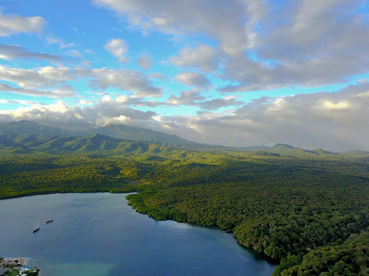A Guide to Barat National Park – How to Explore West Bali National Park